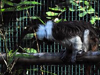 Bild: Zu Gast im Tierpark Dessau