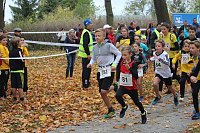 Bild: 24. Stadtparklauf in Sondershausen (1)