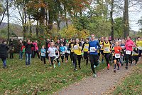 Bild: 24. Stadtparklauf in Sondershausen (1)