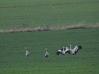 Bild: Anpirschen