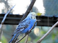 Bild: Peter Blei im B&auml;renpark Worbis