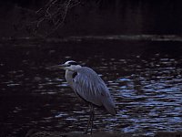 Bild: Abstecher in den W&ouml;rlitzer Park