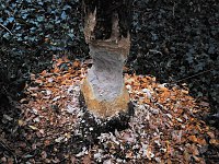 Bild: Abstecher in den W&ouml;rlitzer Park