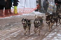 Schlittenhunderennen in Pullmann City II Bild: Schlittenhunderennen in Pullmann City II