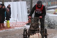 Schlittenhunderennen in Pullmann City II Bild: Schlittenhunderennen in Pullmann City II