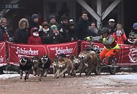 Schlittenhunderennen in Pullmann City II Bild: Schlittenhunderennen in Pullmann City II