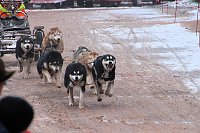 Schlittenhunderennen in Pullmann City II Bild: Schlittenhunderennen in Pullmann City II
