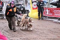 Schlittenhunderennen in Pullmann City II Bild: Schlittenhunderennen in Pullmann City II