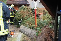 Bild: Gefallen und zerkleinert