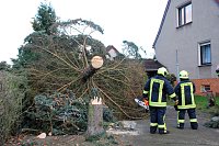 Bild: Nun ist er keine Gefahr mehr