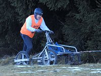 Bild: Schlittenhunde rennen rund um Benneckenstein