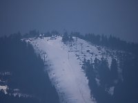 Bild: Schlittenhunde rennen rund um Benneckenstein