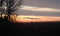 Bild: 29. S&uuml;dharz-Hunderter