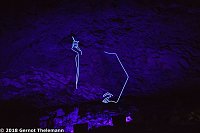 Bild: In einem ganz besonderen Licht
