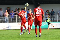 Bild: 2:1 gegen Neustrelitz gewonnen