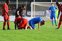 Bild: 2:1 gegen Neustrelitz gewonnen