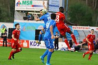 Bild: 2:1 gegen Neustrelitz gewonnen