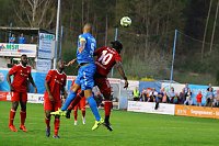 Bild: 2:1 gegen Neustrelitz gewonnen