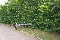 Handwerkermarkt zum Mitsommer Bild: Handwerkermarkt zum Mitsommer