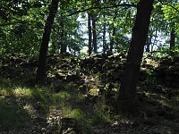 Fotografischer Abstecher nach Thale Bild: Fotografischer Abstecher nach Thale
