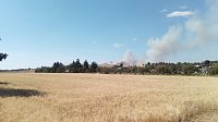 Bild: Feuerwehren im Einsatz
