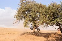 Bild: Fliegende Maschinen am Weinberg
