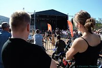 Bild: Emmenrausch am Stausee Kelbra