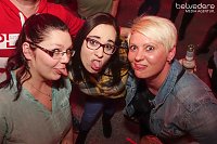 Kastanien im Stress Bild: Kastanien im Stress
