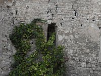 Zu Gast auf Schloss Plötzkau Bild: Zu Gast auf Schloss Plötzkau