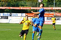 1:1 in Auerbach - das war zu wenig Bild: 1:1 in Auerbach - das war zu wenig