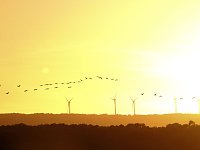 Bild: Die Vorboten flogen an