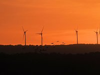 Bild: Die Vorboten flogen an
