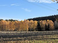 Herbst im Harz Bild: Herbst im Harz