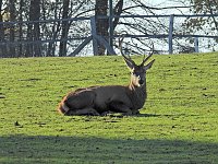 Herbst im Harz Bild: Herbst im Harz