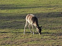 Herbst im Harz Bild: Herbst im Harz