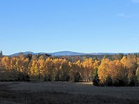 Herbst im Harz Bild: Herbst im Harz