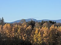 Herbst im Harz Bild: Herbst im Harz