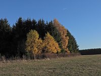 Herbst im Harz Bild: Herbst im Harz