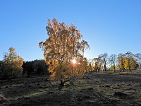 Herbst im Harz Bild: Herbst im Harz
