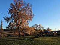 Herbst im Harz Bild: Herbst im Harz