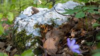 Wandern und Fotografieren Bild: Wandern und Fotografieren