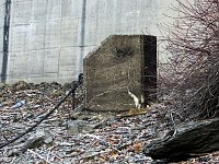 Wenig Wasser in der Talsperre Bild: Wenig Wasser in der Talsperre