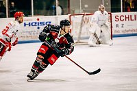 Louis Trattner Bild: Louis Trattner
