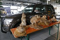 Bild: Neues Autohaus er&ouml;ffnet