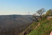Bild: Gro&szlig;artiger MDR Osterspaziergang in Bad Frankenhausen