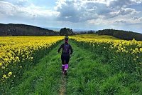Einfach mal über den Harz Bild: Einfach mal über den Harz