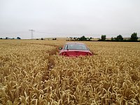 Bild: Kein Bett im Kornfeld
