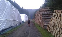 Bild: Zum zehnten Mal &uuml;ber den ganzen Harz