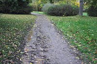 26. Stadtparklauf Sondershausen und... Bild: 26. Stadtparklauf Sondershausen und...