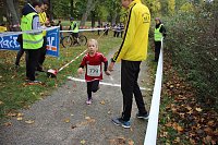 26. Stadtparklauf Sondershausen und... Bild: 26. Stadtparklauf Sondershausen und...